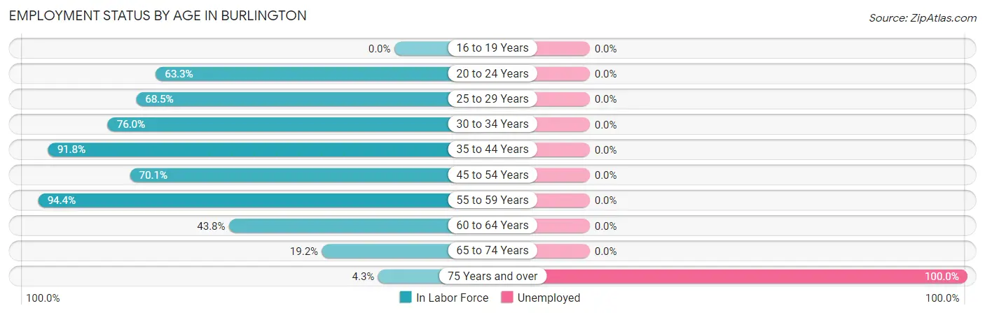 Employment Status by Age in Burlington