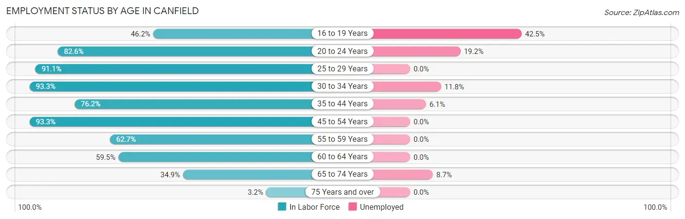 Employment Status by Age in Canfield