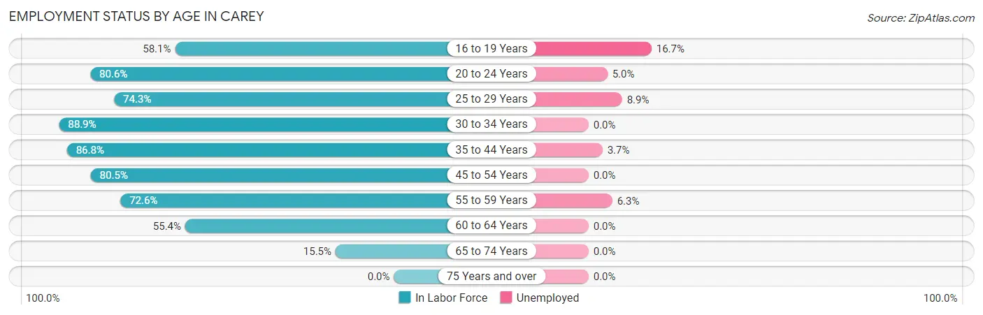 Employment Status by Age in Carey