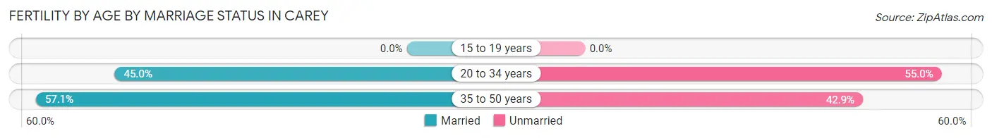 Female Fertility by Age by Marriage Status in Carey