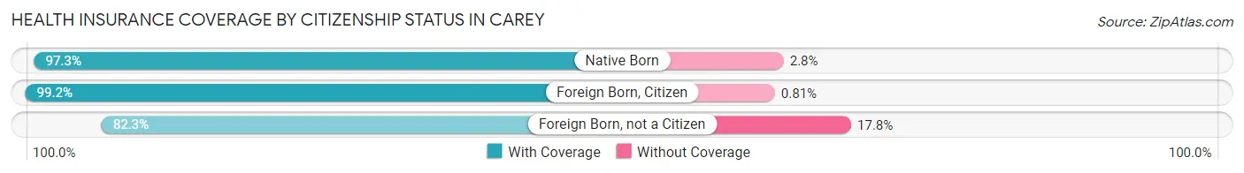 Health Insurance Coverage by Citizenship Status in Carey