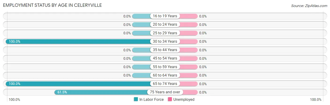 Employment Status by Age in Celeryville