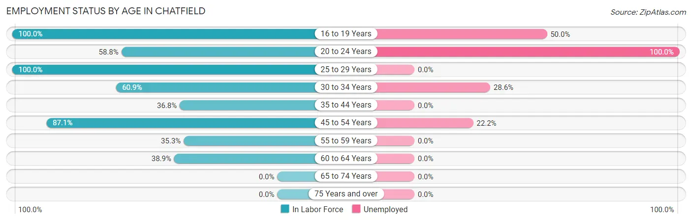 Employment Status by Age in Chatfield