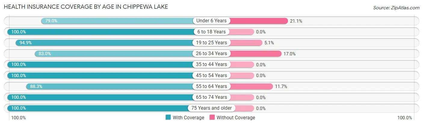 Health Insurance Coverage by Age in Chippewa Lake