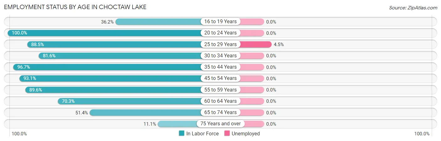 Employment Status by Age in Choctaw Lake