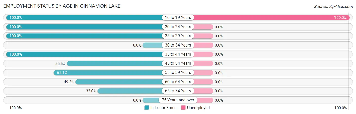 Employment Status by Age in Cinnamon Lake