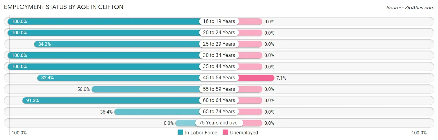 Employment Status by Age in Clifton