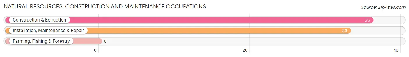 Natural Resources, Construction and Maintenance Occupations in Clinton