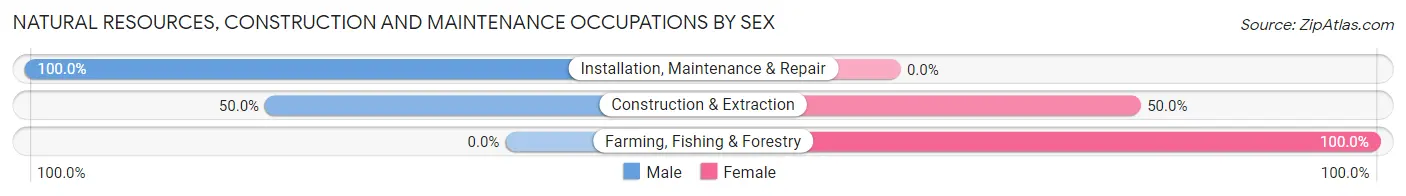 Natural Resources, Construction and Maintenance Occupations by Sex in Collins