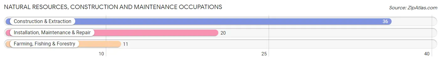 Natural Resources, Construction and Maintenance Occupations in Collins