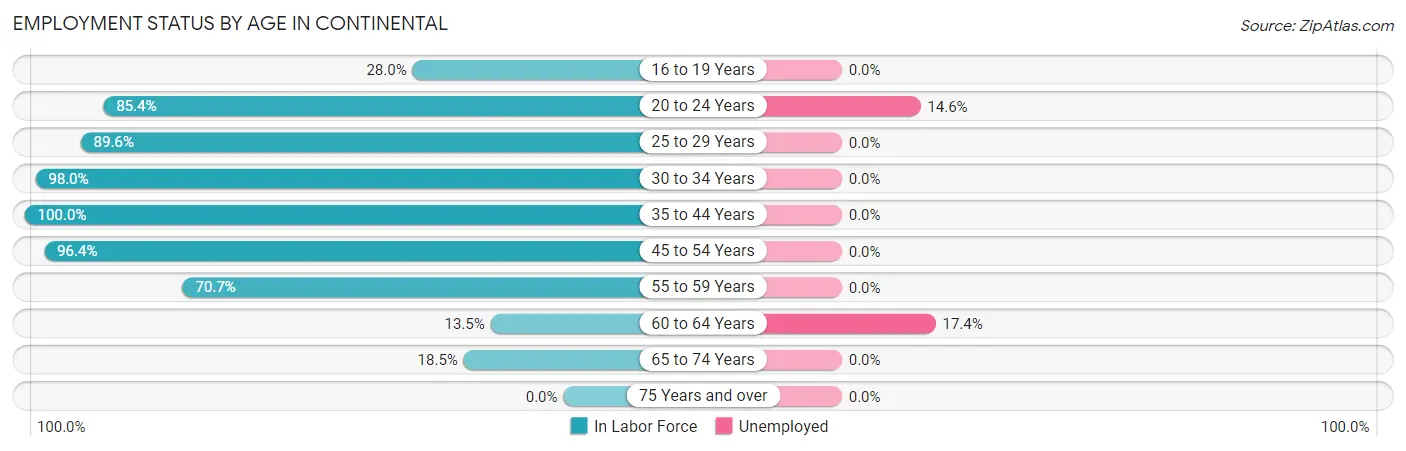 Employment Status by Age in Continental