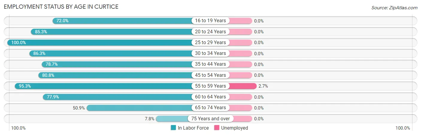 Employment Status by Age in Curtice
