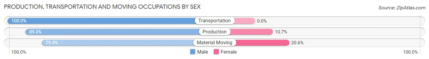 Production, Transportation and Moving Occupations by Sex in Delhi Hills