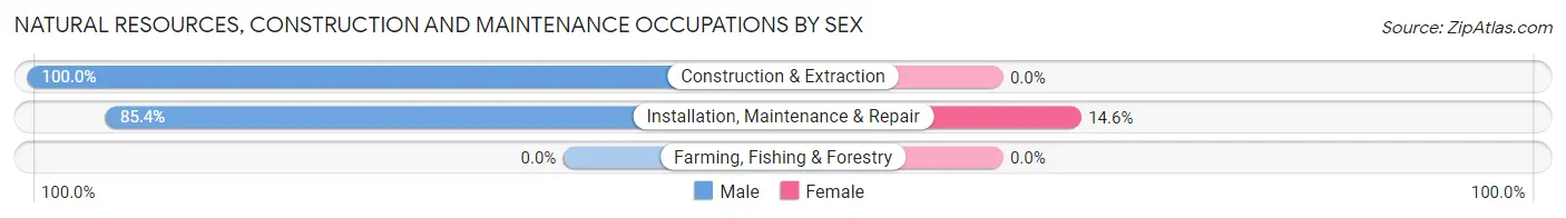 Natural Resources, Construction and Maintenance Occupations by Sex in Delshire