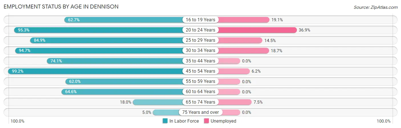 Employment Status by Age in Dennison