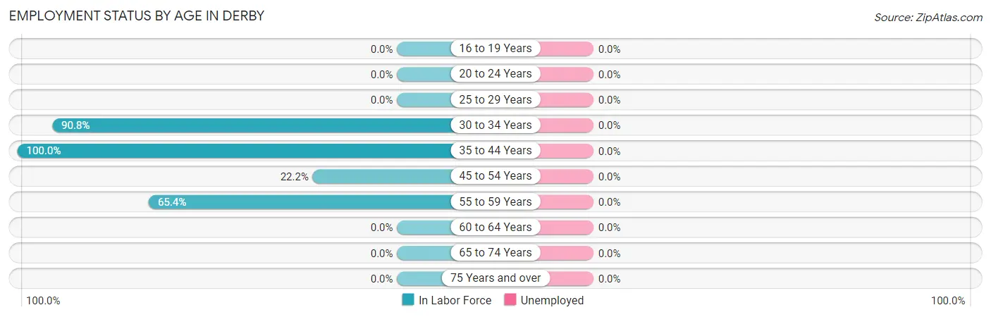 Employment Status by Age in Derby