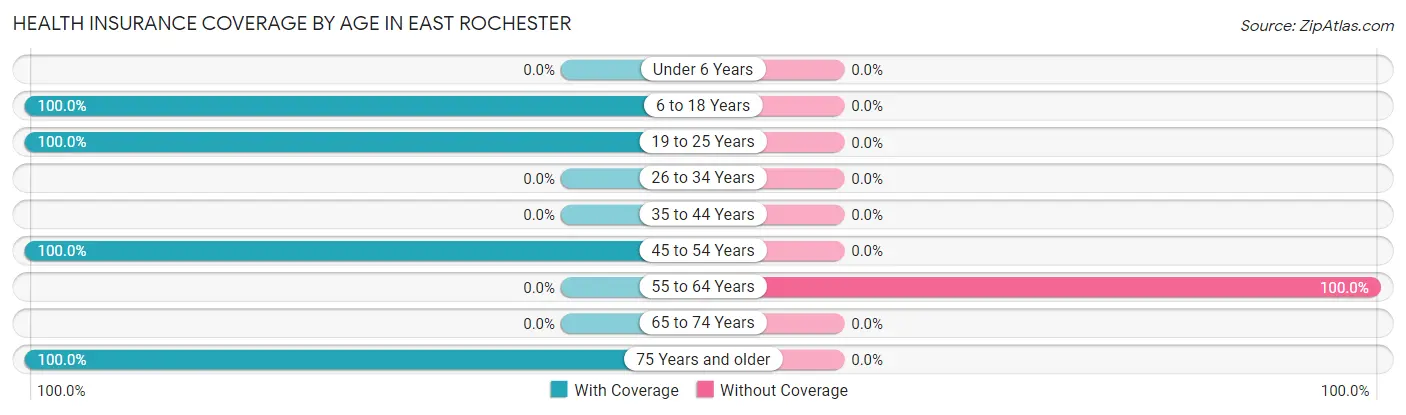 Health Insurance Coverage by Age in East Rochester