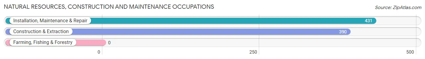 Natural Resources, Construction and Maintenance Occupations in Eastlake