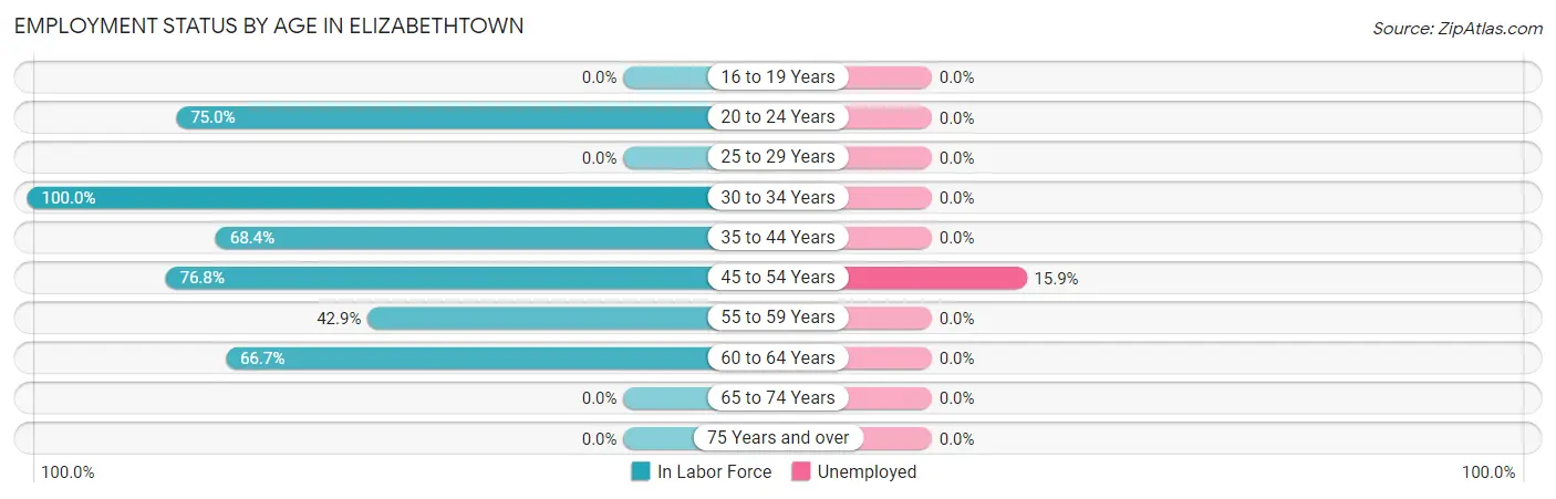 Employment Status by Age in Elizabethtown