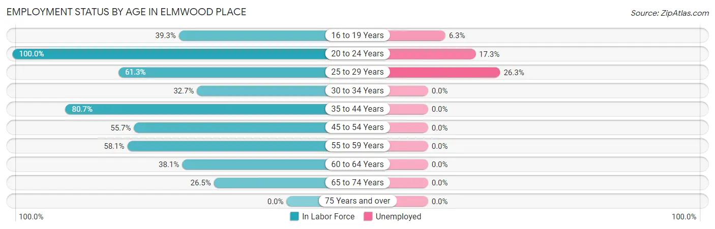 Employment Status by Age in Elmwood Place