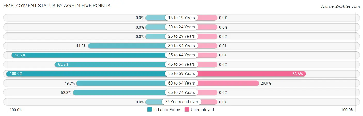 Employment Status by Age in Five Points