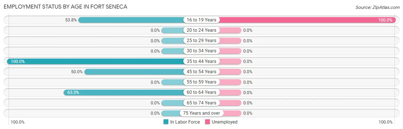 Employment Status by Age in Fort Seneca