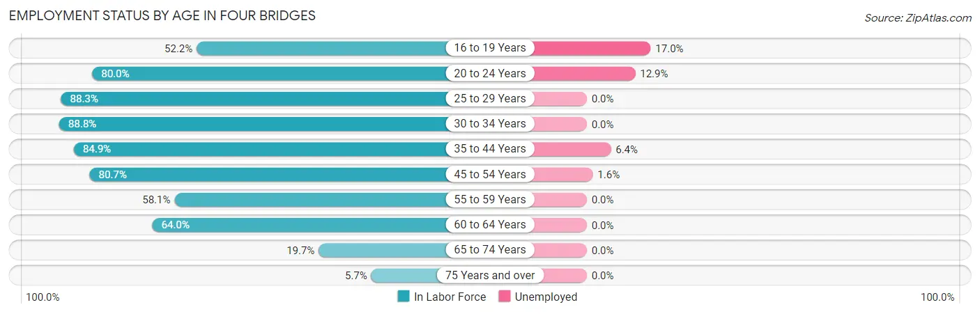 Employment Status by Age in Four Bridges