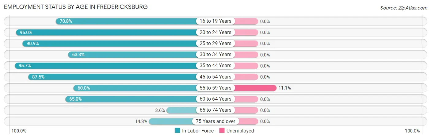 Employment Status by Age in Fredericksburg