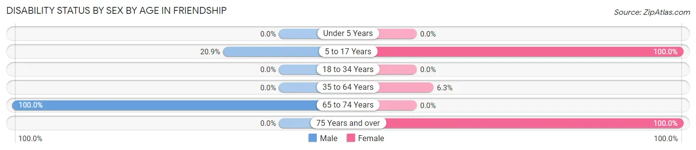 Disability Status by Sex by Age in Friendship