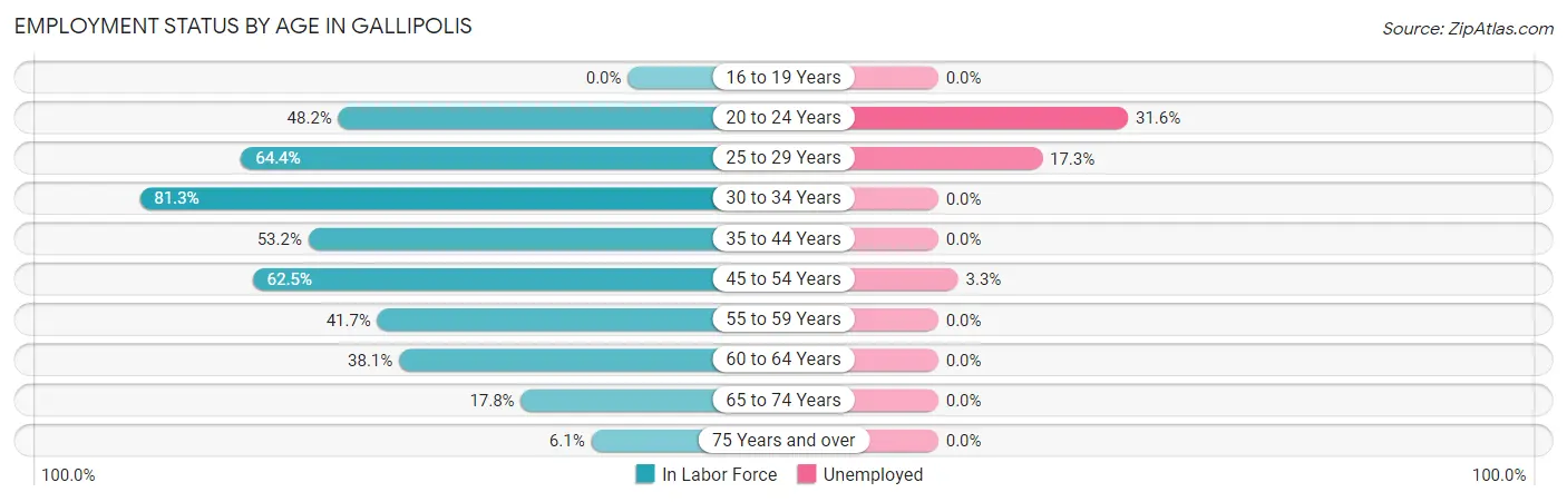 Employment Status by Age in Gallipolis