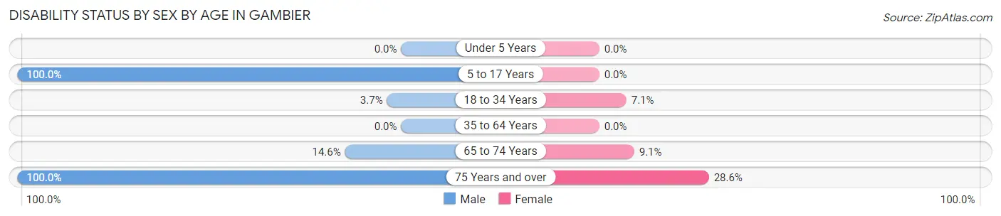 Disability Status by Sex by Age in Gambier