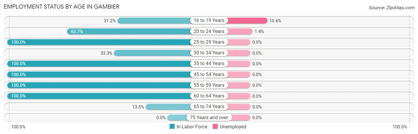 Employment Status by Age in Gambier