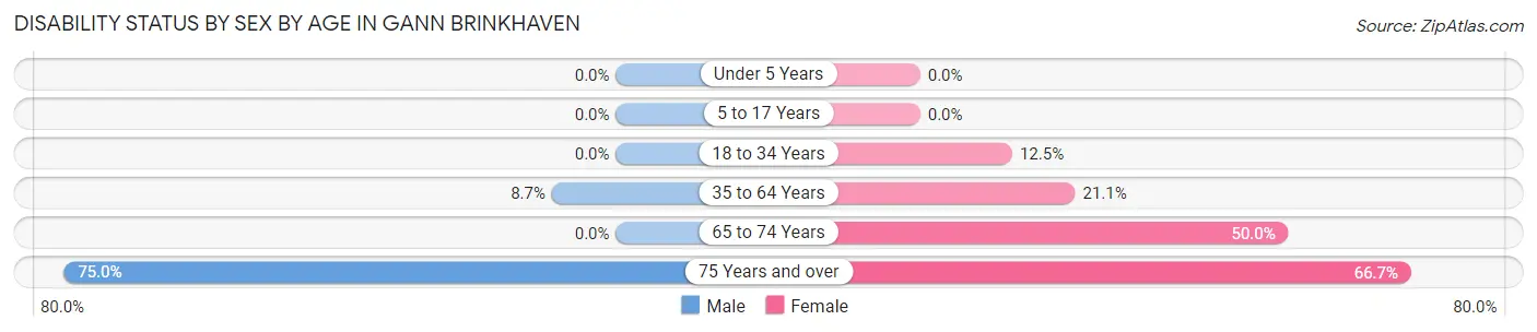 Disability Status by Sex by Age in Gann Brinkhaven