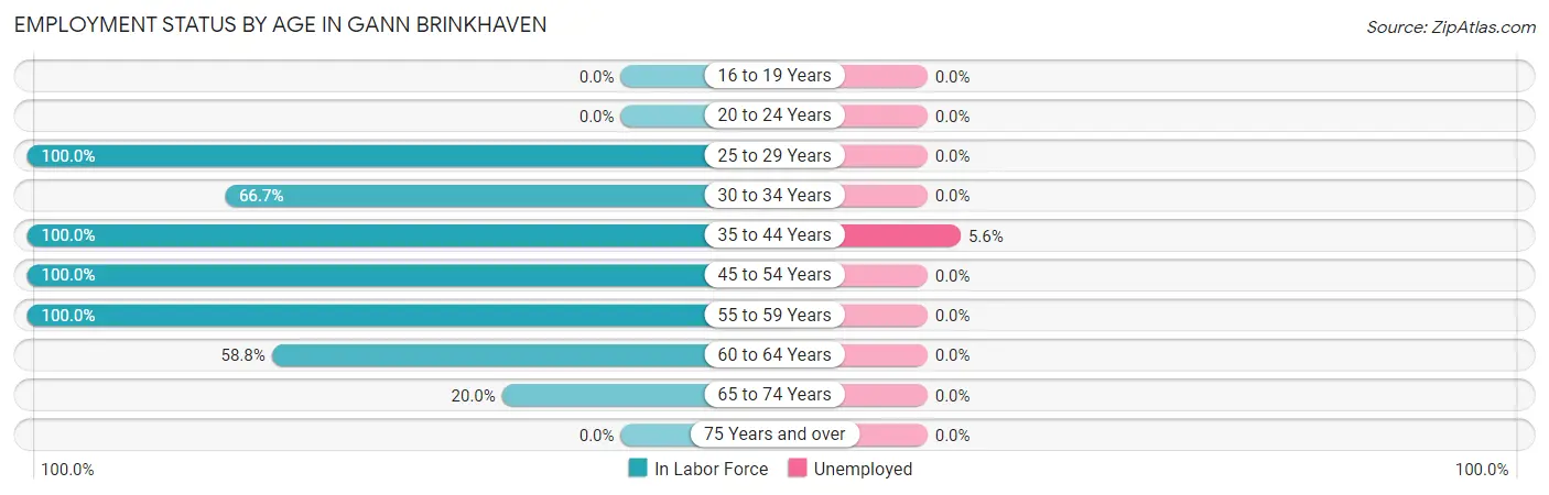 Employment Status by Age in Gann Brinkhaven