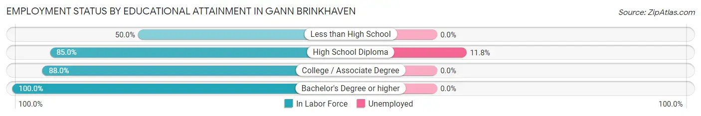 Employment Status by Educational Attainment in Gann Brinkhaven