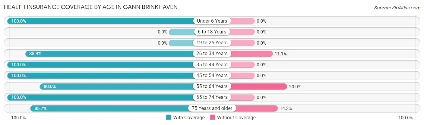 Health Insurance Coverage by Age in Gann Brinkhaven