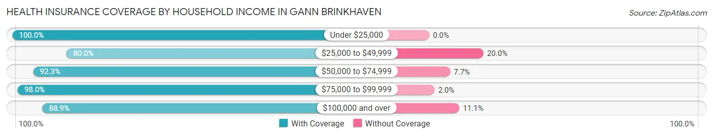 Health Insurance Coverage by Household Income in Gann Brinkhaven
