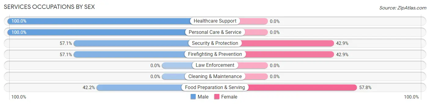 Services Occupations by Sex in Geneva on the Lake