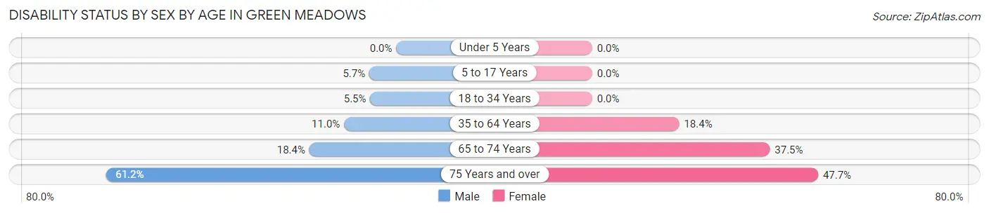 Disability Status by Sex by Age in Green Meadows