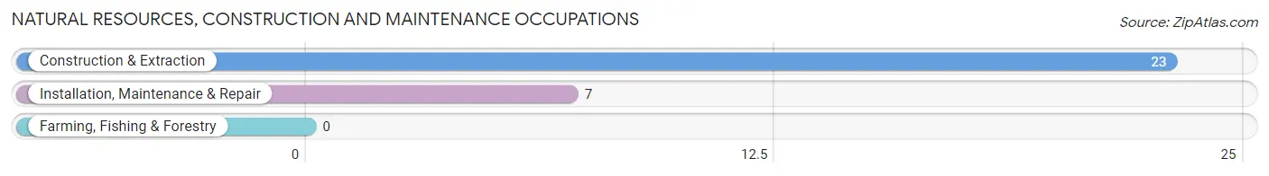 Natural Resources, Construction and Maintenance Occupations in Hamden