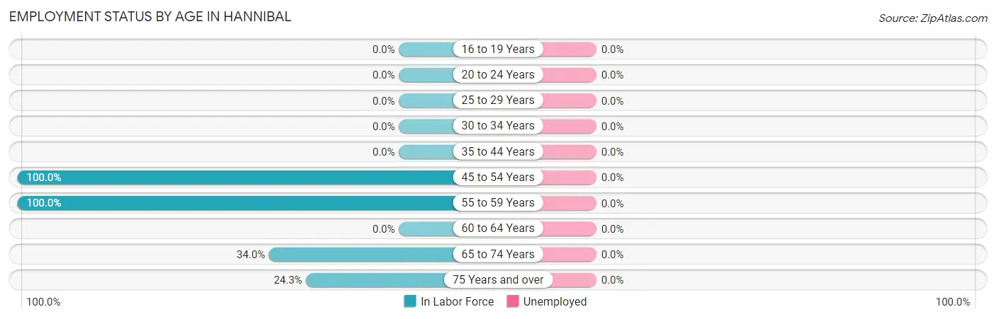 Employment Status by Age in Hannibal