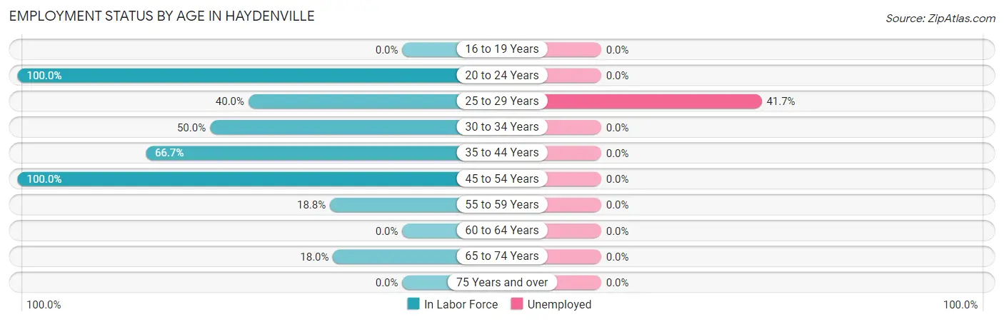 Employment Status by Age in Haydenville