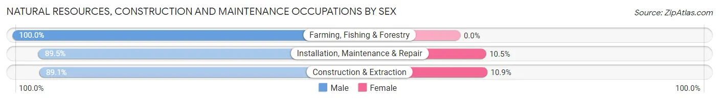 Natural Resources, Construction and Maintenance Occupations by Sex in Heath