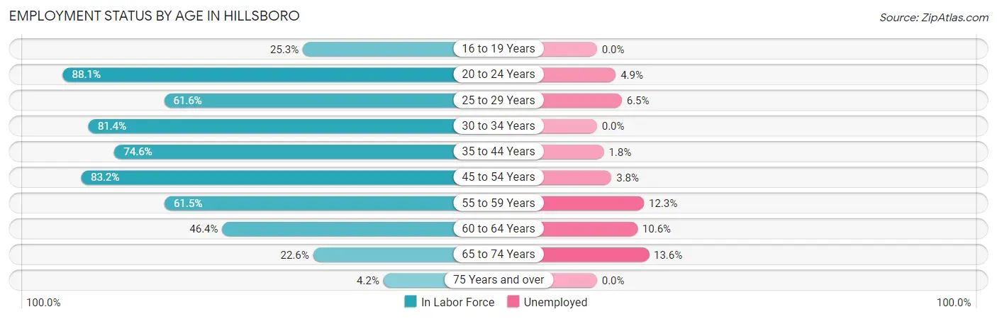 Employment Status by Age in Hillsboro