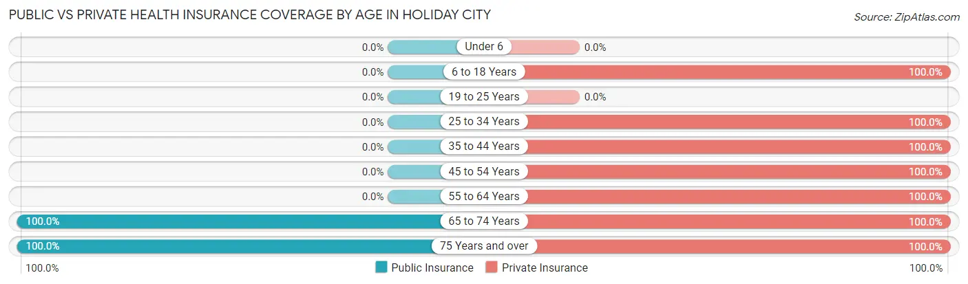 Public vs Private Health Insurance Coverage by Age in Holiday City