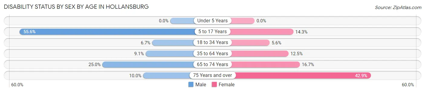 Disability Status by Sex by Age in Hollansburg