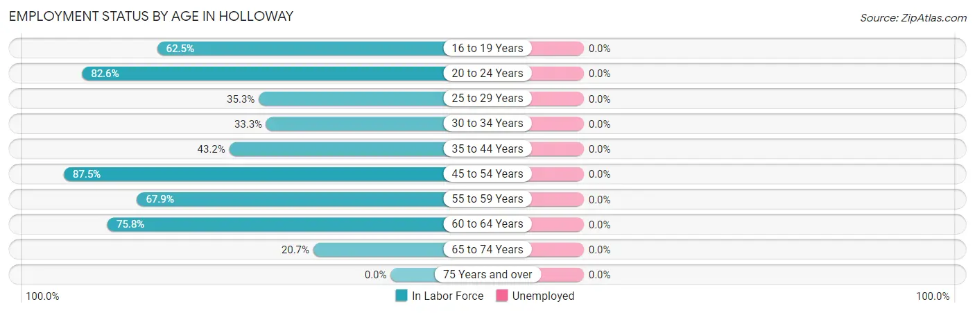 Employment Status by Age in Holloway