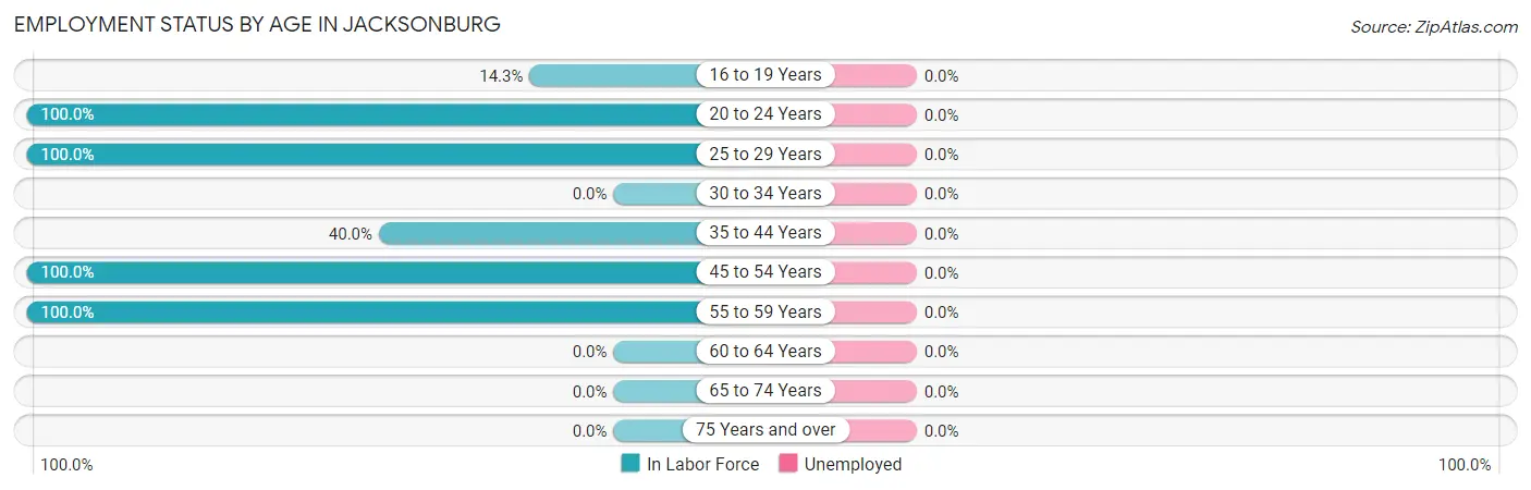 Employment Status by Age in Jacksonburg