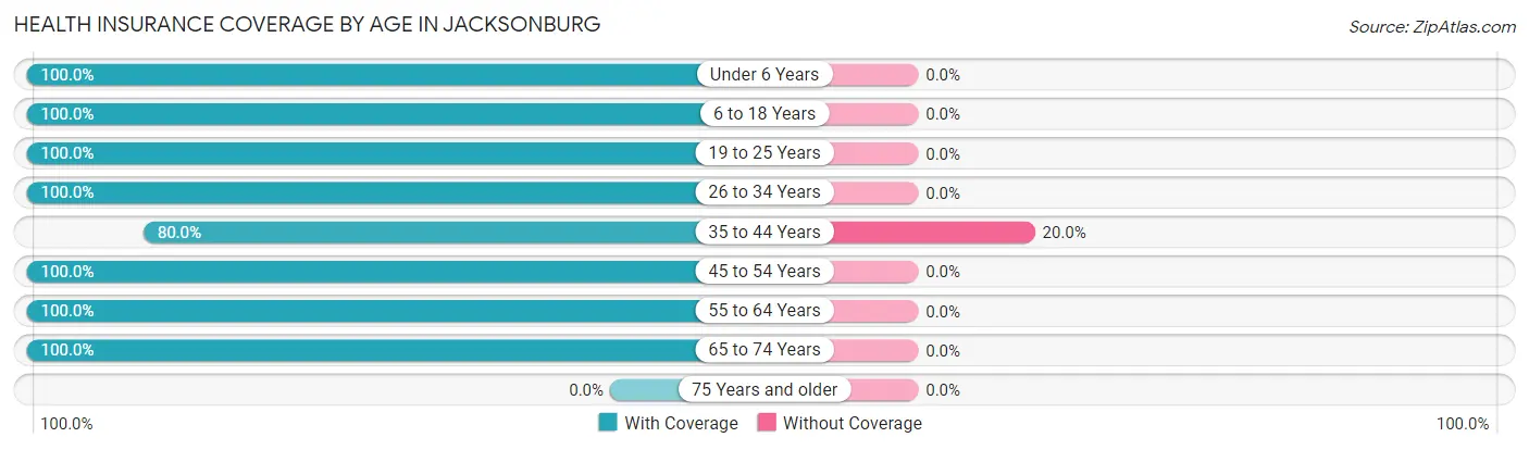 Health Insurance Coverage by Age in Jacksonburg