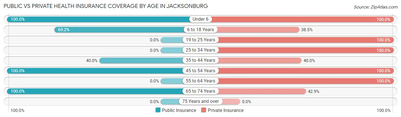 Public vs Private Health Insurance Coverage by Age in Jacksonburg